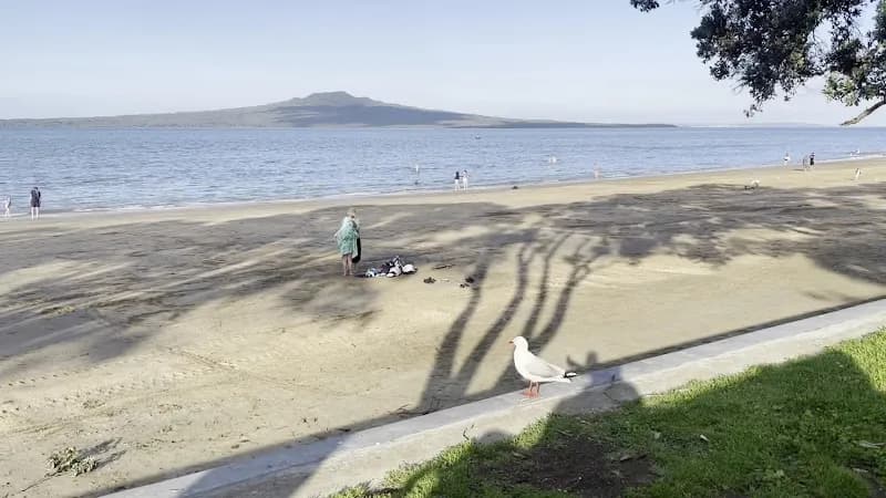 View of Narrow Neck Beach in Devonport, AKL