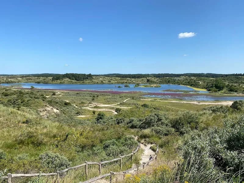 Nationaal Park Zuid-Kennemerland national park in Haarlem, NH