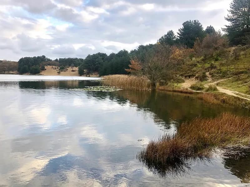 View of Nationaal Park Zuid-Kennemerland in Haarlem, NH