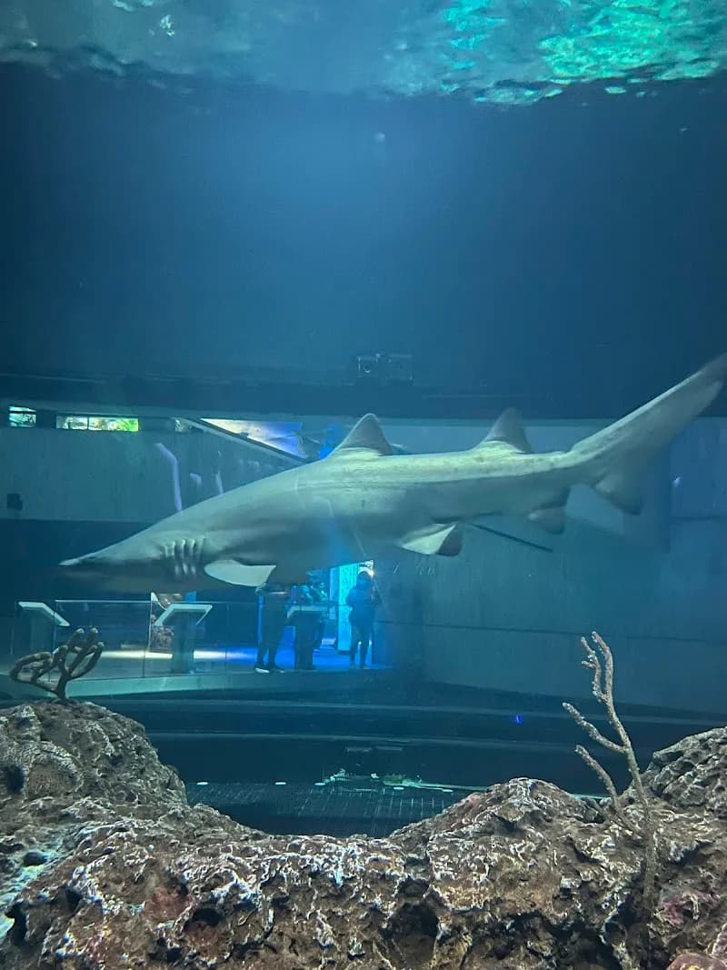 View of National Aquarium in Ocean City, MD