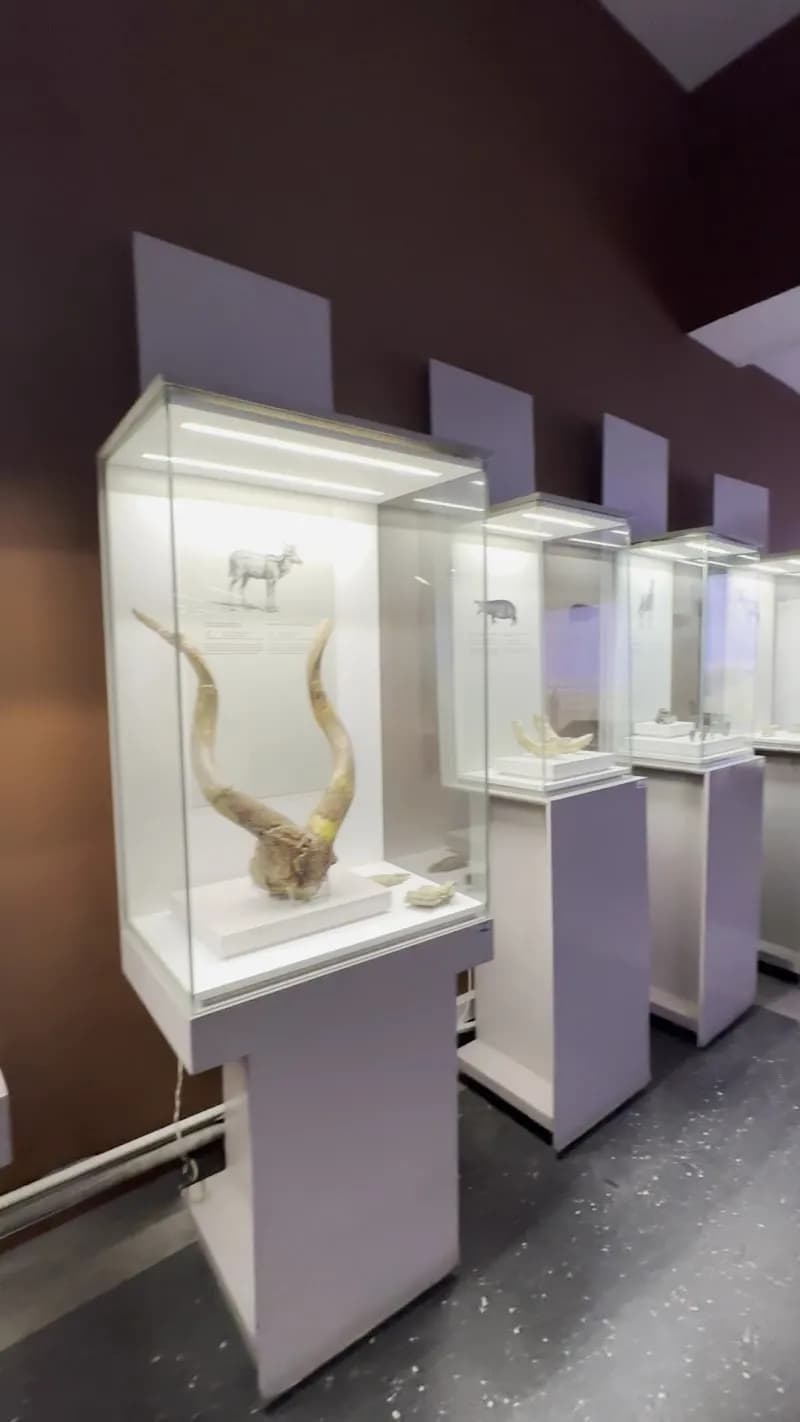 View of National Museum and House of Culture in Dar es Salaam, DS