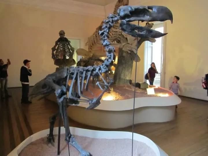 View of National Museum of Brazil in Rio de Janeiro, RJ