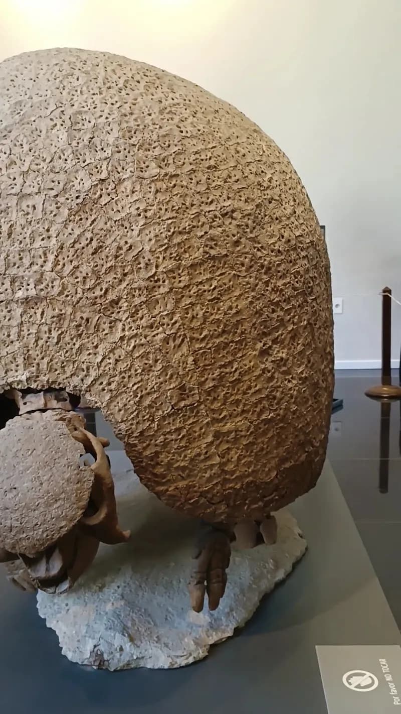 View of National Museum of Natural History in Montevideo, MO