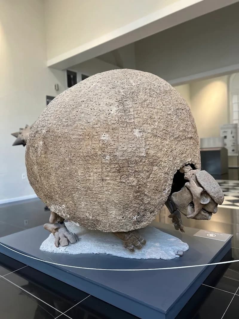 View of National Museum of Natural History in Montevideo, MO