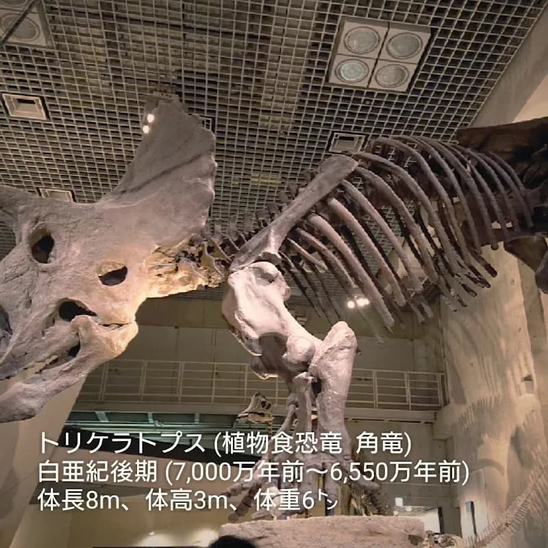 View of National Museum of Nature and Science in Tokyo, TK