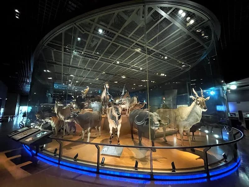 View of National Museum of Nature and Science in Tokyo, TK