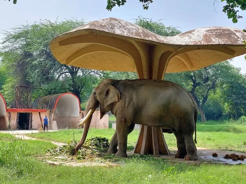 View of National Zoological Park, Delhi in Delhi, DL