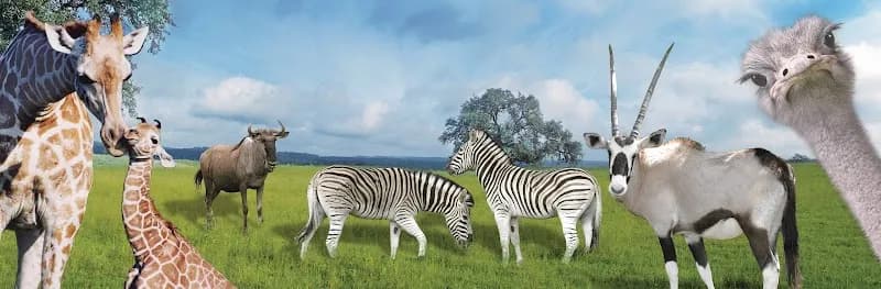 Natural Bridge Wildlife Ranch tourist attraction in Amarillo, TX