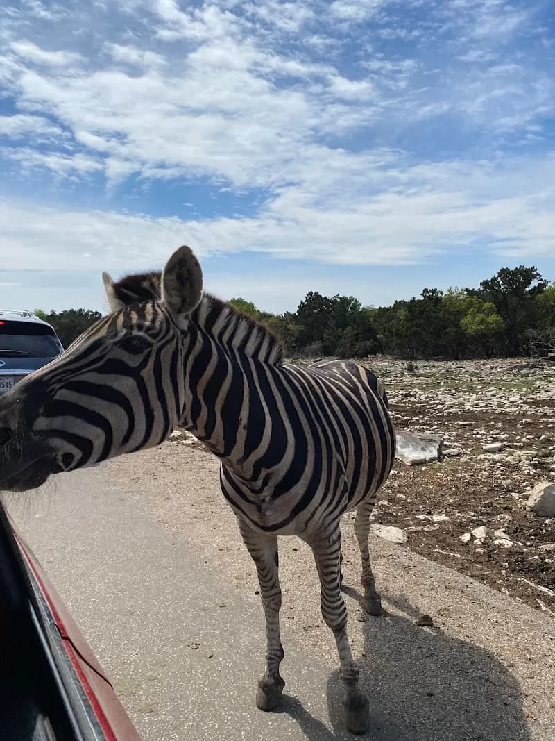 View of Natural Bridge Wildlife Ranch in Amarillo, TX