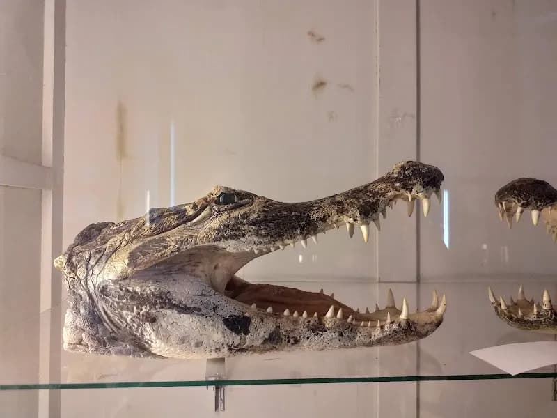 View of Natural history museum in Cusco, CUS