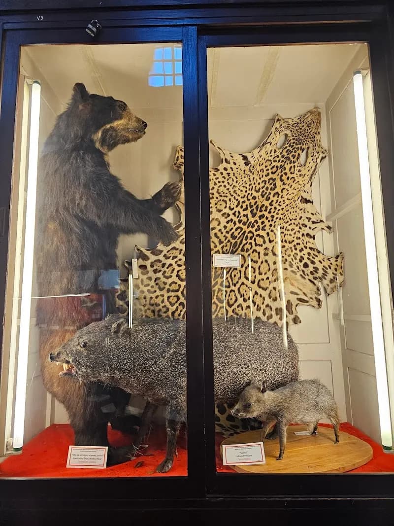 View of Natural history museum in Cusco, CUS