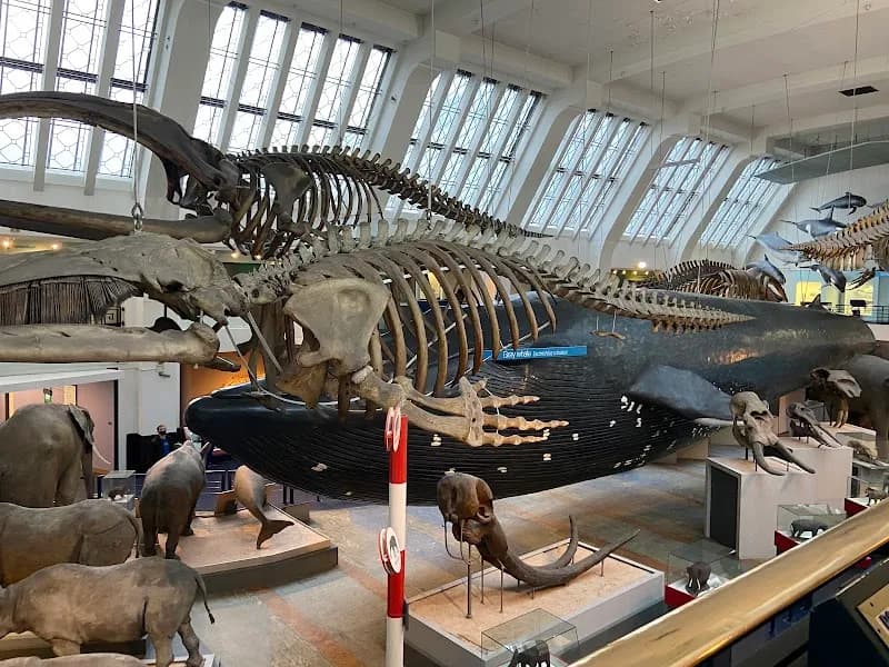View of Natural History Museum in London, LDN