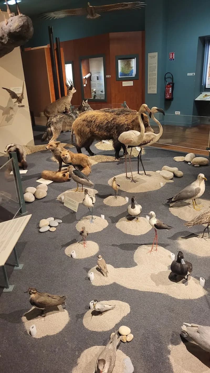 Natural History Museum of Nice tourist attraction in Nice, PAC