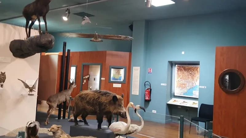 View of Natural History Museum of Nice in Nice, PAC