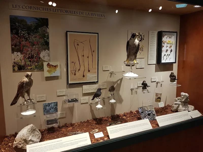 View of Natural History Museum of Nice in Nice, PAC