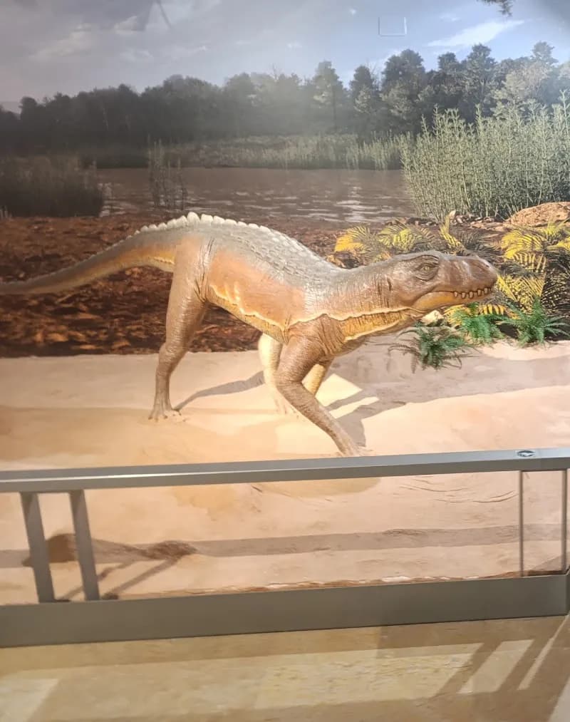 View of Natural Science Museum of Valencia in Valencia, VC