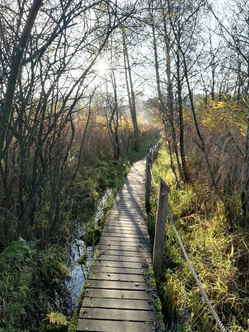 View of Naturerlebnisweg Obertrum in Eugendorf, Salzburg