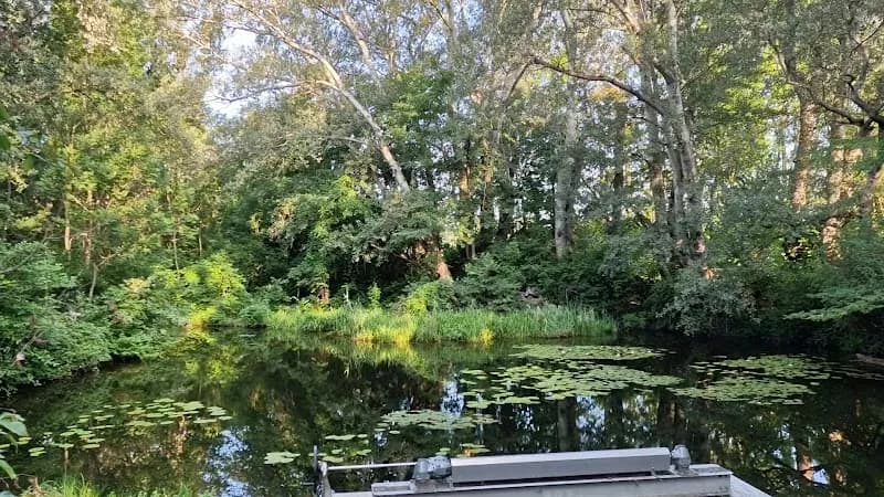 View of Naturschutzgebiet Groß-Enzersdorf Wetlands in Groß-Enzersdorf, VIE