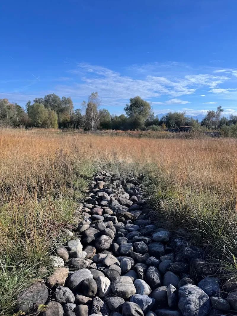 View of Naturstation Silberweide in Greifensee, ZH