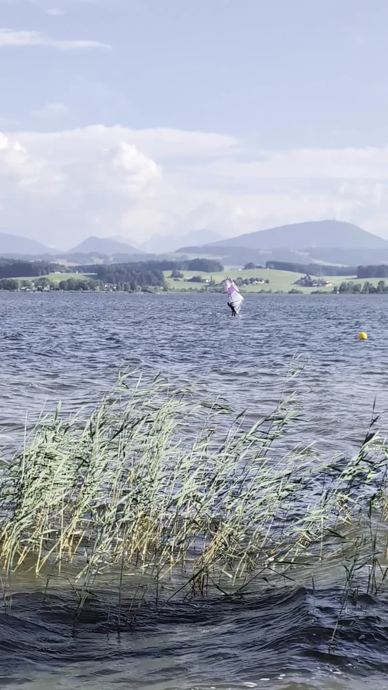 View of Naturstrandbad Zell am Wallersee in Neumarkt am Wallersee, Salzburg