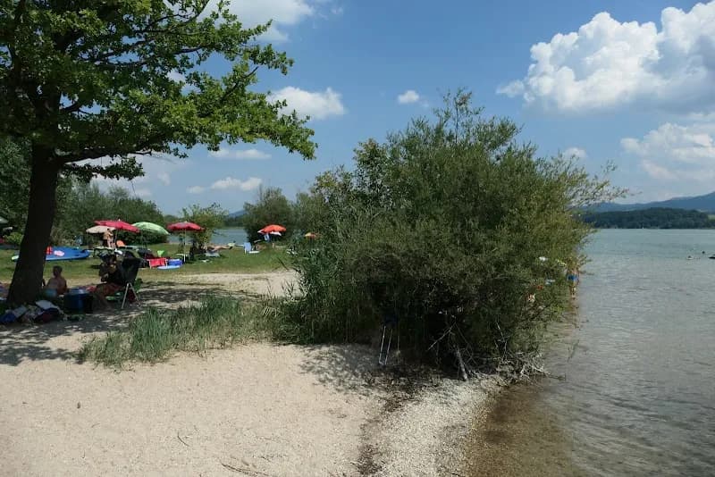 View of Naturstrandbad Zell am Wallersee in Neumarkt am Wallersee, Salzburg