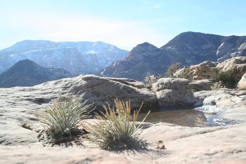 Navajo Mountain Community School school in Page, AZ