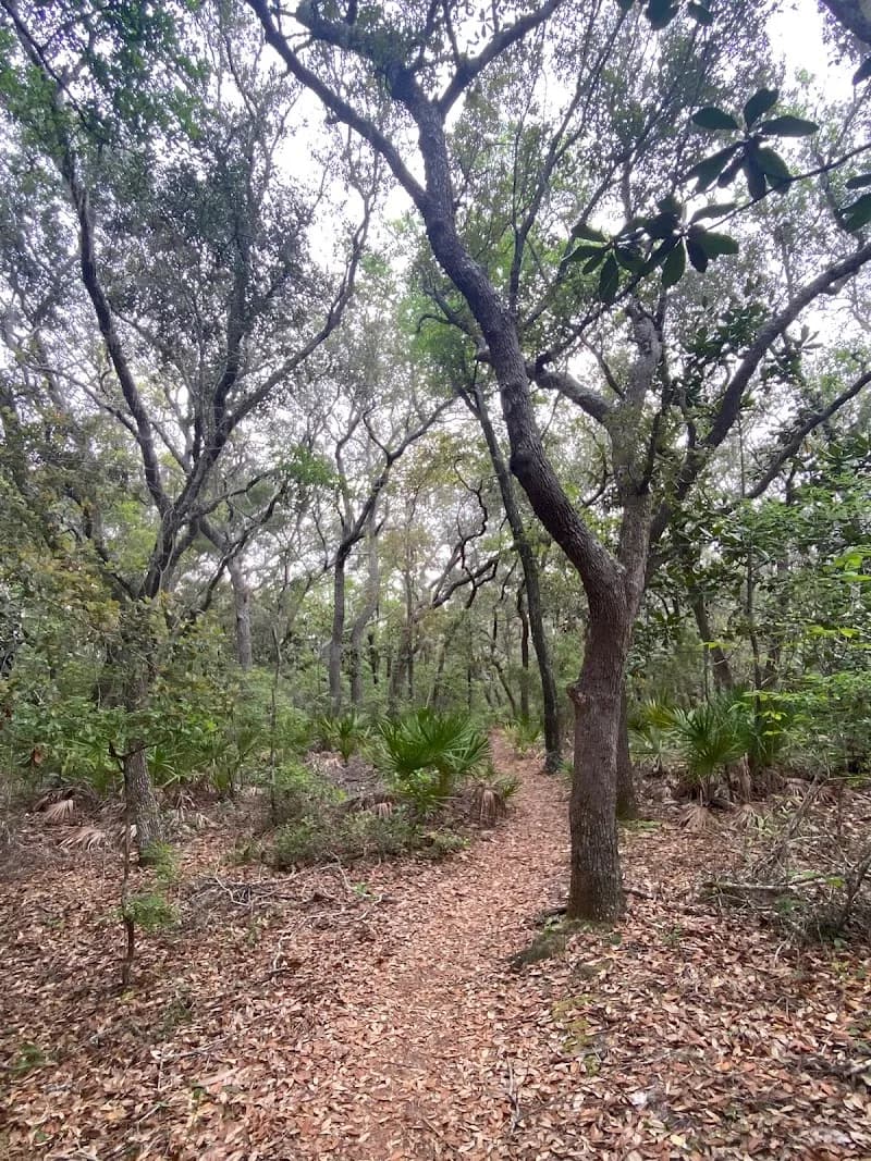 View of Naval Live Oaks Nature Preserve in Gulf Breeze, FL