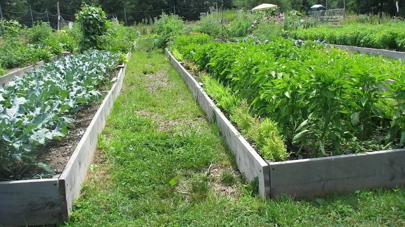 View of Needham Community Farm in Needham, MA