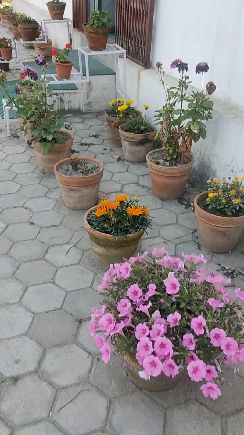View of Nepal National Library in Thimi, Bagmati