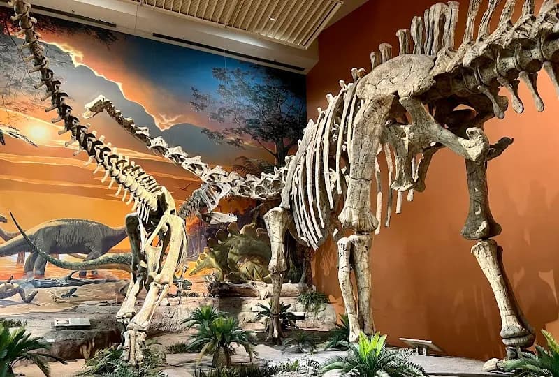 View of New Mexico Museum of Natural History and Science in Albuquerque, NM