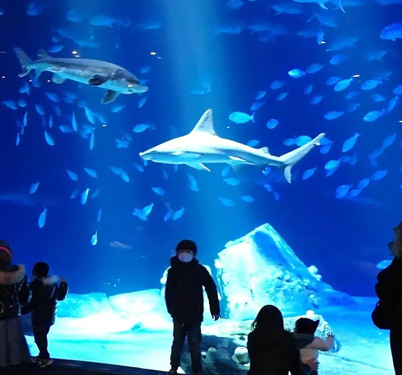 View of New York Aquarium in New York City, NY