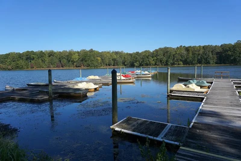 View of Newport News Park in Yorktown, VA