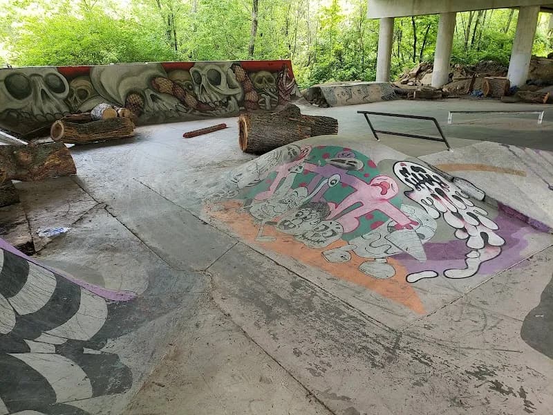 View of Newport Skatepark-Under The Bridge in Newport, TN