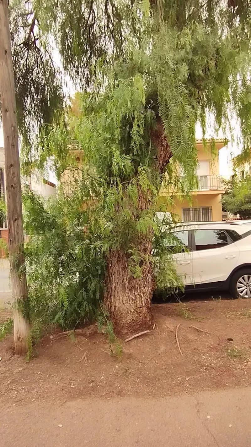 View of Ángela Roca Park in Gavà, CT