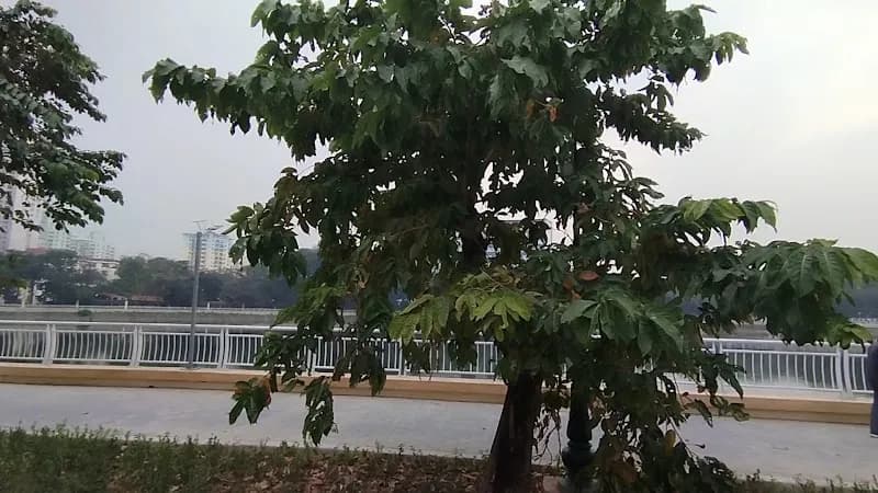 View of Nghĩa Đô Park in Cầu Giấy, HN
