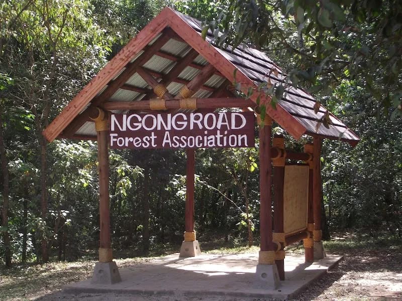 Ngong Road Forest Sanctuary park in Nairobi, NBO