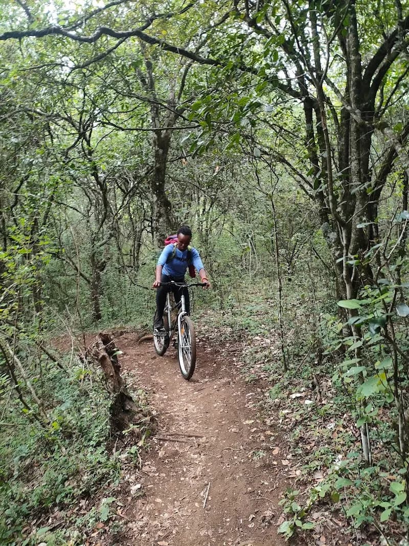 View of Ngong Road Forest Sanctuary in Nairobi, NBO