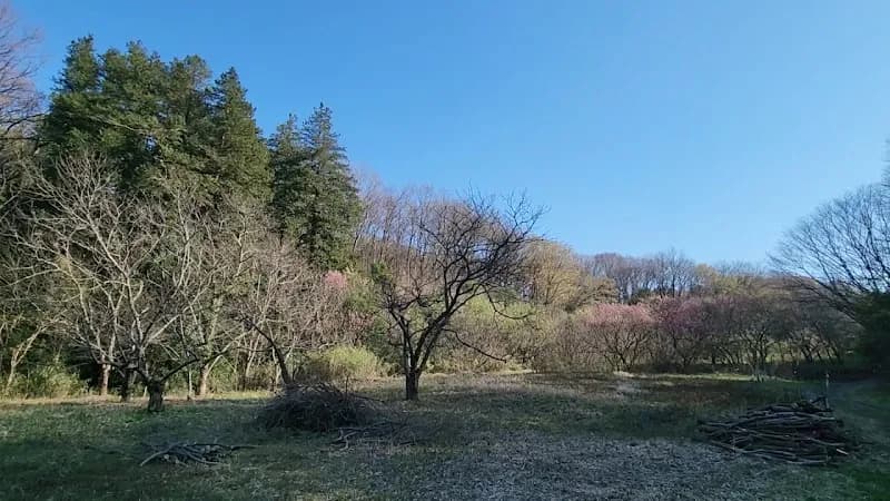 View of Niiharu Shimin no Mori in Midori, Kanagawa