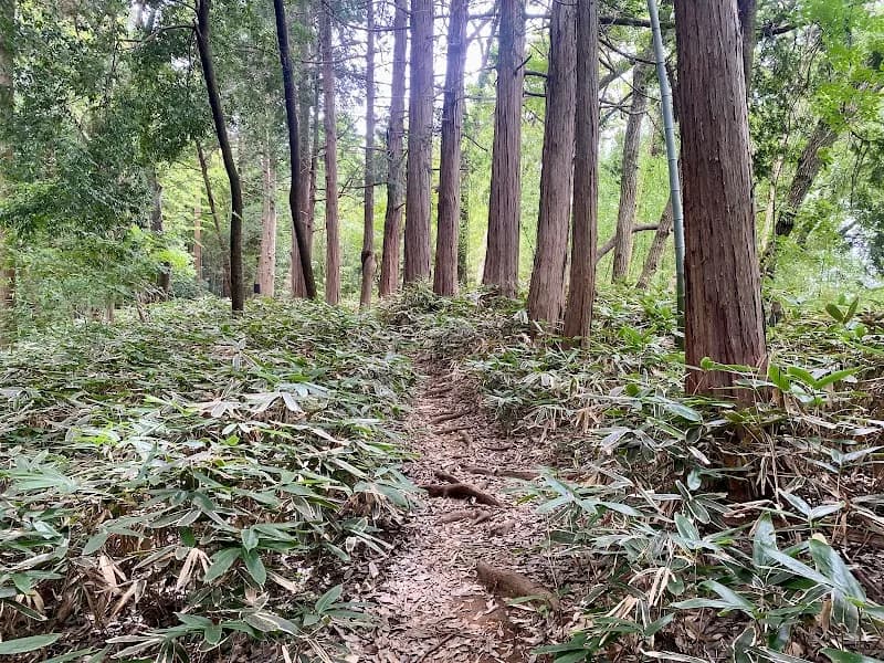 View of Niiharu Shimin no Mori in Midori, Kanagawa