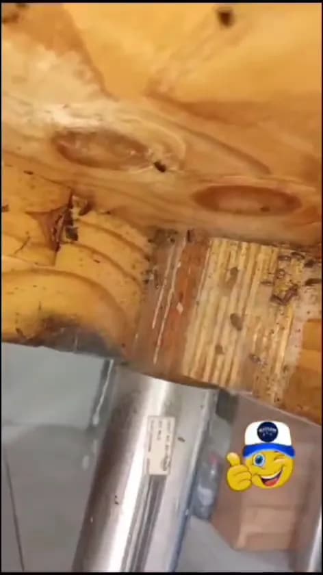 View of Nilópolis Centro in Nilópolis, RJ