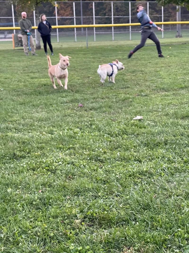 Nipper Maher Park park in Waltham, MA