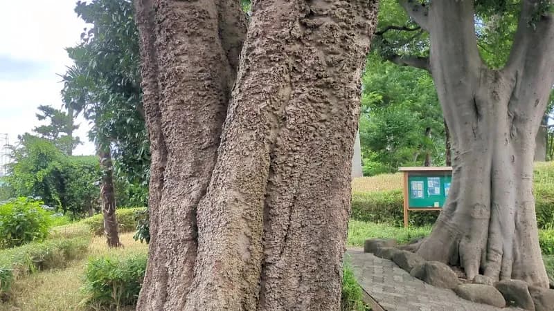 View of Nishigawara Natural Park in Komae, Tokyo