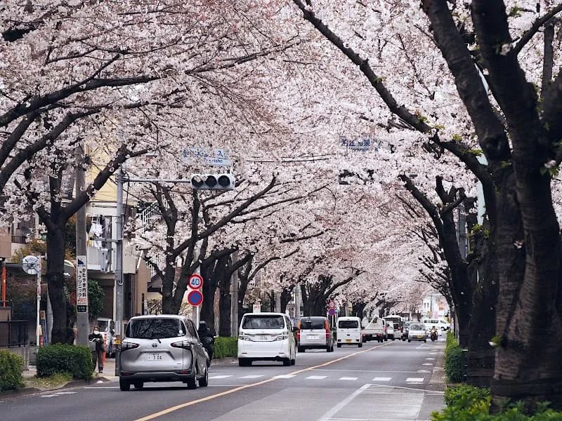 View of Nishigawara Natural Park in Komae, Tokyo