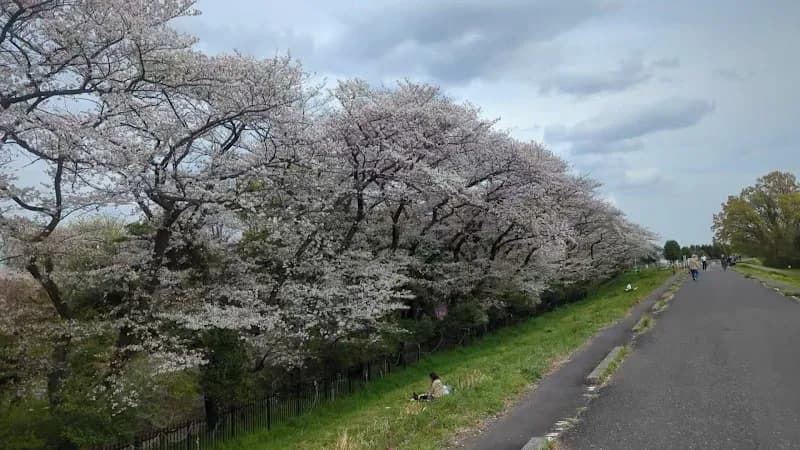 View of Nishigawara Park in Komae, Tokyo