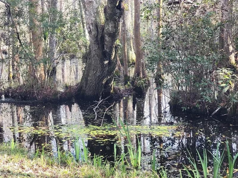 View of Nocatee Preserve in Nocatee, FL
