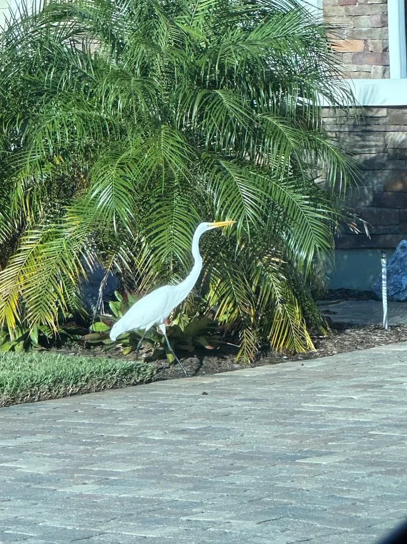 View of Nocatee Station Field in Nocatee, FL