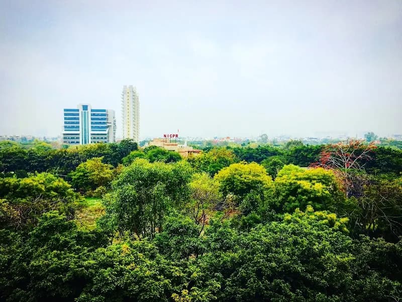 Noida City Center Mall Food Court restaurant in Sector 62 Noida, UP