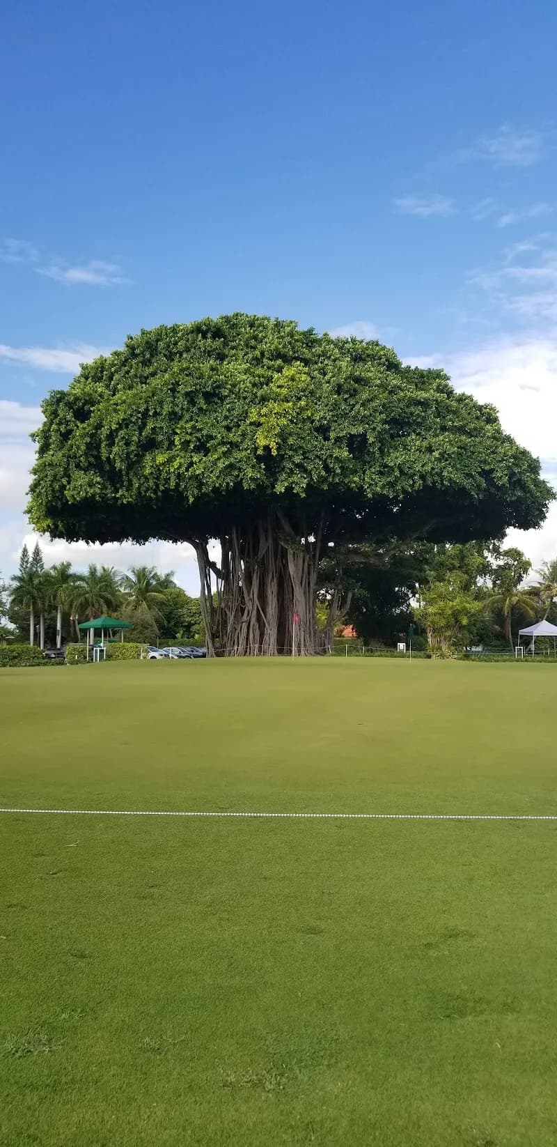 View of Normandy Shores Golf Course in Miami Beach, FL