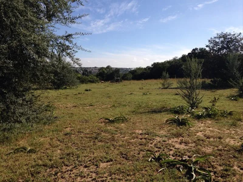 View of Norscot Koppies Nature Reserve in Fourways, GP
