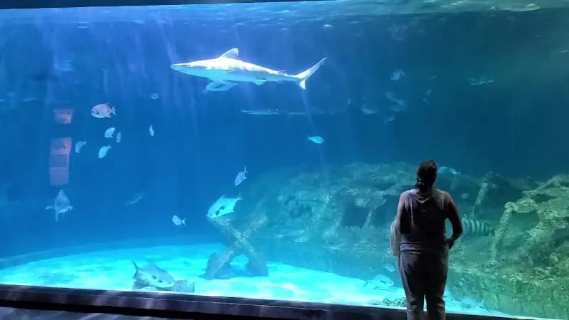 View of North Carolina Aquarium on Roanoke Island in Roanoke, AL